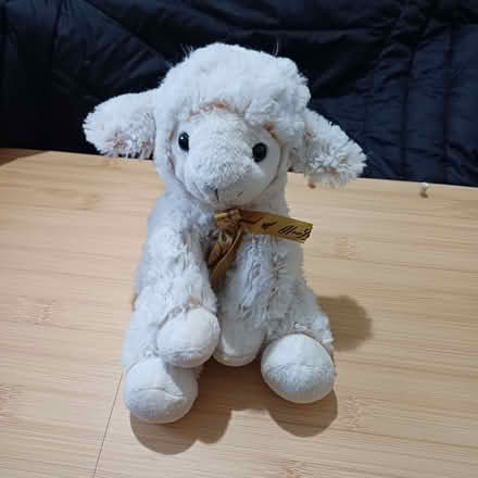 Photo of free Lovely soft fluffy lamb. (Sydenham SE26) #1