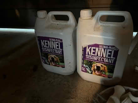 Photo of free Kennel cleaner (TN4) #1