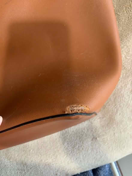 Photo of free Topshop Shoulder bag (Colney Hatch N10) #4