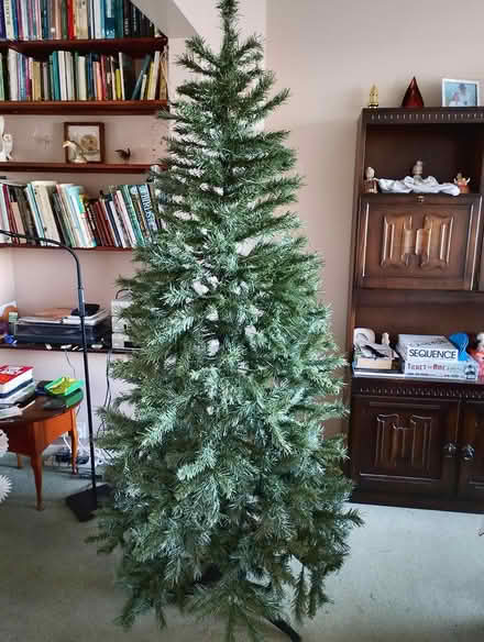 Photo of free Slim Christmas tree (Blaydon NE21) #1