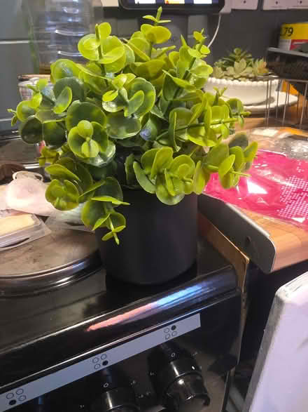 Photo of free House bits (Cavendish DE23) #1