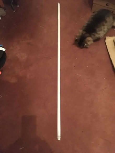 Photo of free flourescent tube (Terregles DG2) #1