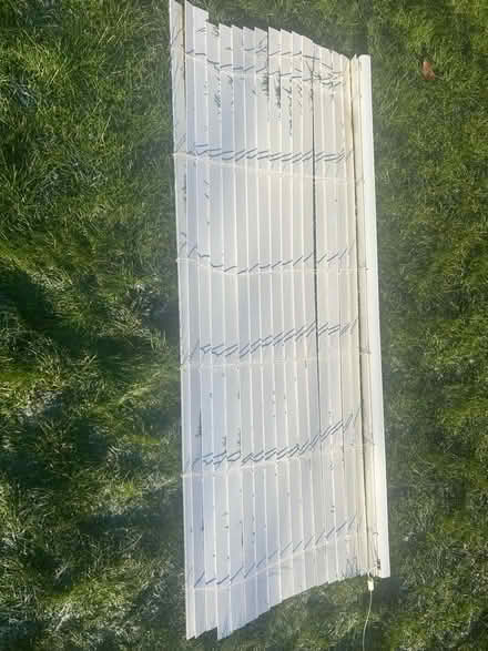 Photo of free White Venetian blind (Sunnyside) #2