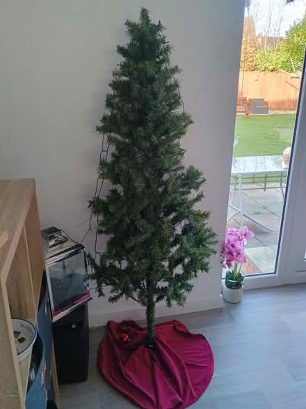 Photo of free Christmas tree (CH49) #1