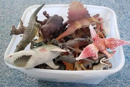 Photo of free Dinosaurs etc (Emsworth PO10) #1