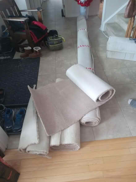 Photo of free Assorted carpet pieces (Central Fallingbrook) #1