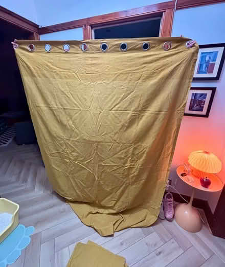Photo of free Habitat mustard yellow curtains (Sandyhills G32) #2