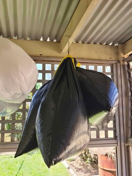 Photo of free Bean bag beans (South Side, Tuggeranong) #2