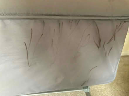 Photo of free Next to me chicco cot (Bury BL8) #3