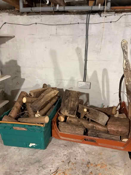 Photo of free wood (Sharrow S11) #1