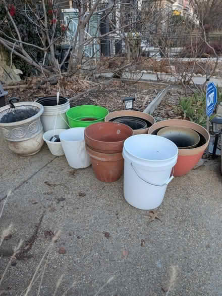 Photo of free Various plant pots (Park View - Colombia Heights) #1