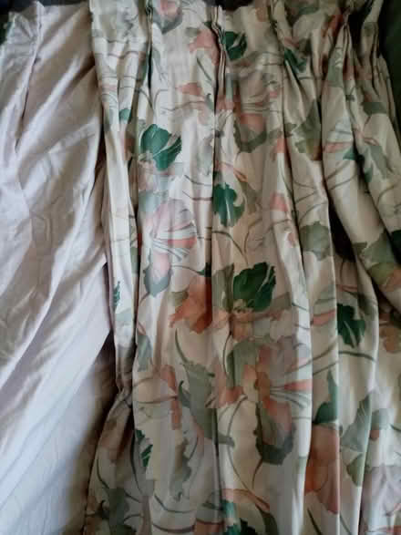 Photo of free Huge lined curtains (Pimlico, SW1) #2