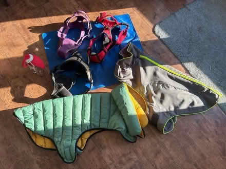 Photo of free Dog walking bundle (Nine Ashes, CM4) #1