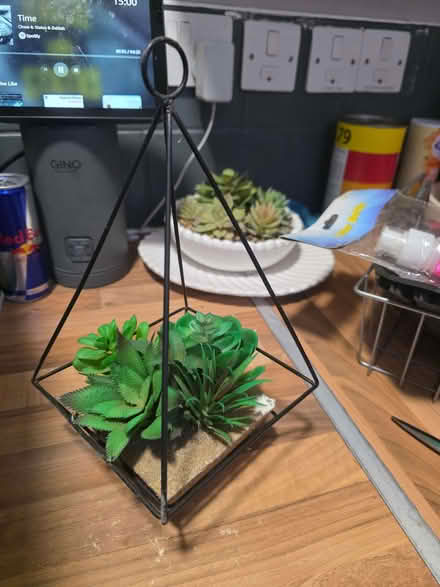 Photo of free Hanging faux plant (Cavendish DE23) #1