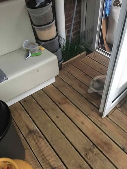 Photo of free seats and table (Coleridge Ward CB1) #4