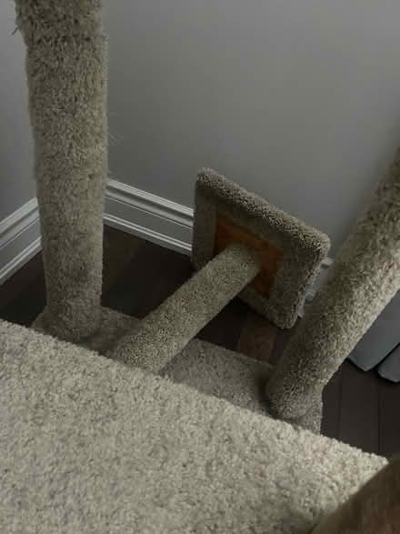 Photo of free Imperfect cat tree (Holland Landing) #1