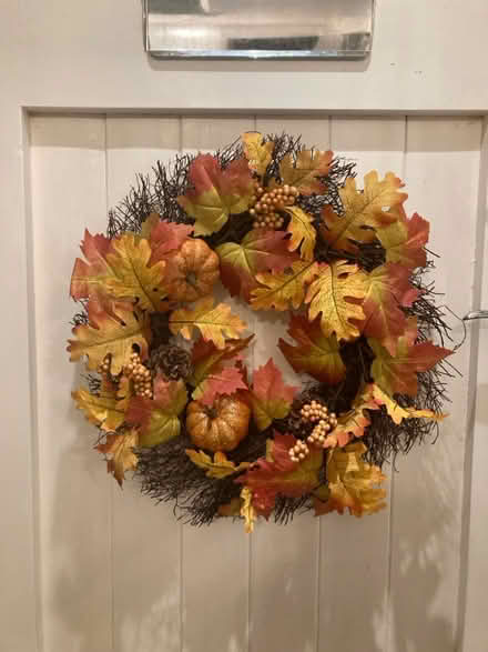 Photo of free Halloween Reef (Poole) #1