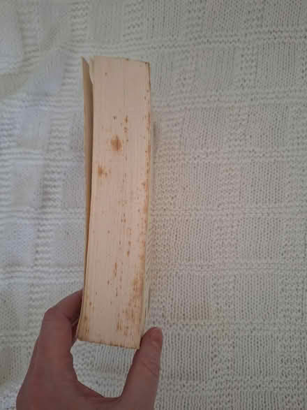 Photo of free Book Novel (Maidenhead SL6) #2