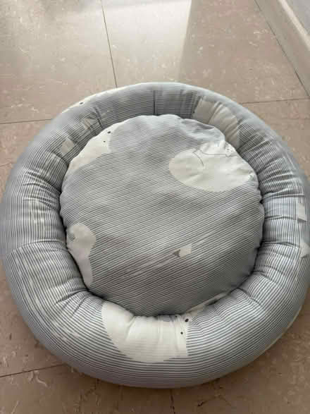 Photo of free Pillow/bed for dog (Ghim Moh) #1