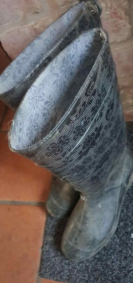 Photo of free Wellies size 4 (Clun) #1