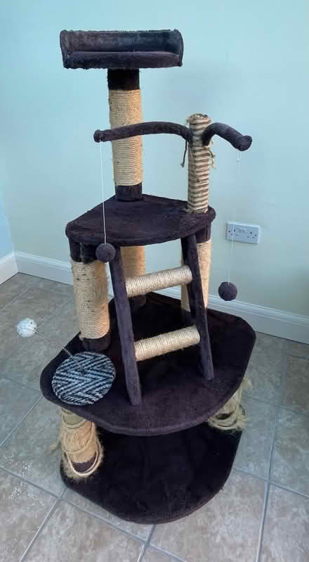 Photo of free Cat Toy Stand (Peachcroft OX14) #1