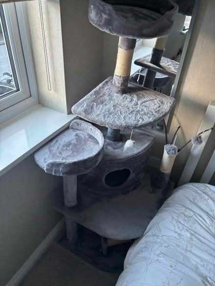Photo of free Cat tree activity centre (Berwick Grange SY1) #2