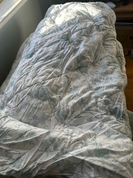 Photo of free Very large white and blue/green bedspread throw (Southsea PO5) #1
