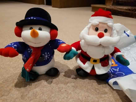 Photo of free Singing Christmas Decorations (Lloyd Park) #4