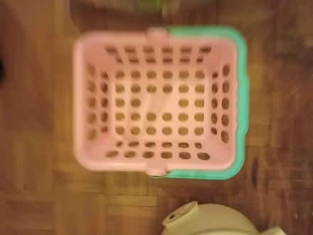 Photo of free Girls toys shopping market (Freezywater EN3) #3