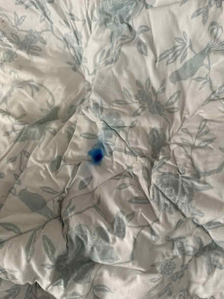 Photo of free Very large white and blue/green bedspread throw (Southsea PO5) #3