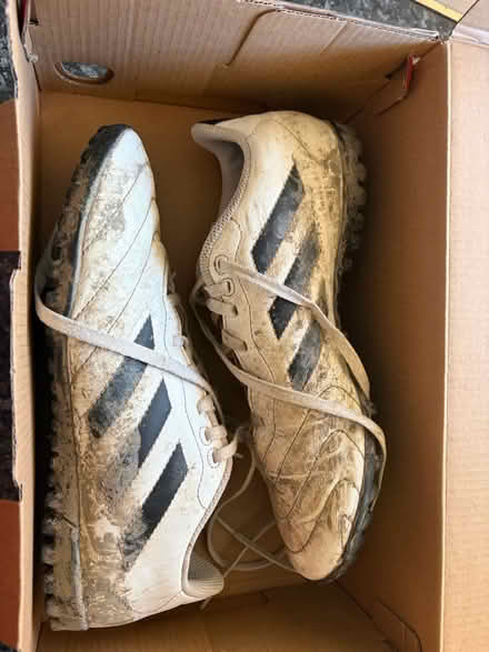 Photo of free Asto trainers (West st Leonard’s TN38) #1