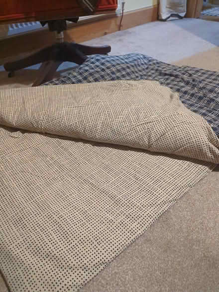 Photo of free Single duvet (Bare, LA4) #1