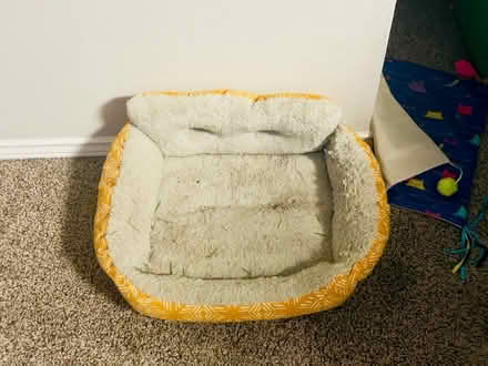 Photo of free Cat Bed (Boulder Ridge Apartments) #1
