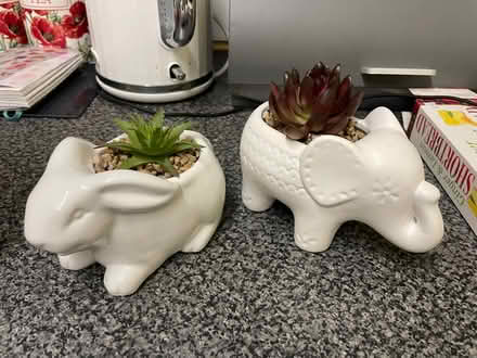 Photo of free 2 faux succulents (Southdown) #1