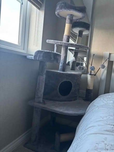Photo of free Cat tree activity centre (Berwick Grange SY1) #1