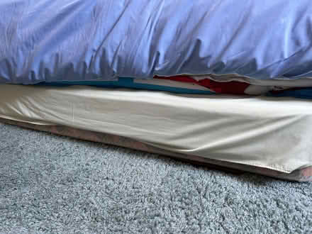 Photo of free Single bed with second bed underneath (Oldfield Park) #3