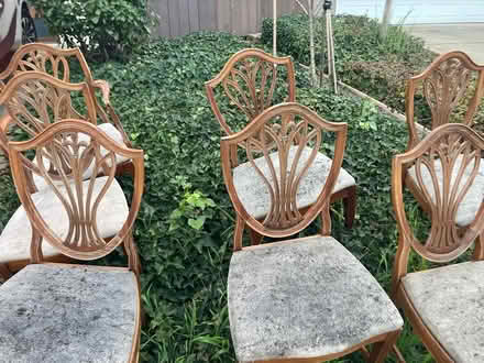 Photo of free Curb alert Cupertino 6dining chairs (Foothill Boulevard Cupertino) #3