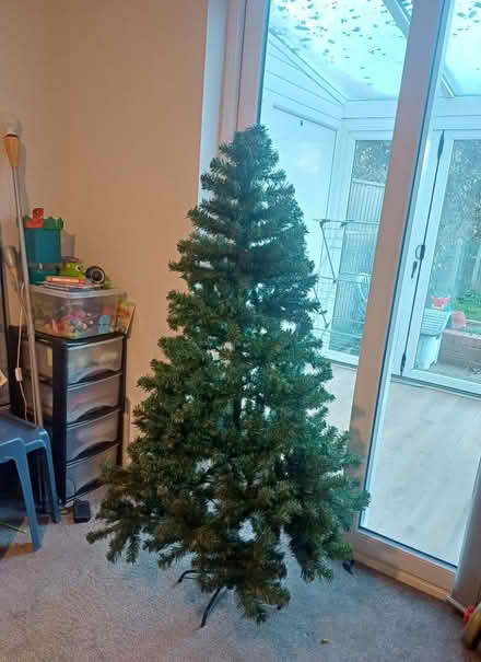 Photo of free Christmas Tree (Beckenham Hill) #1