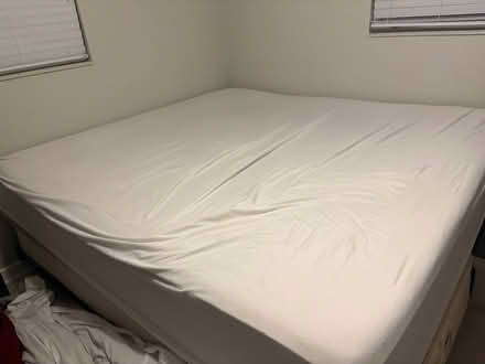 Photo of free Cali king mattress and box spring (Harris park) #2