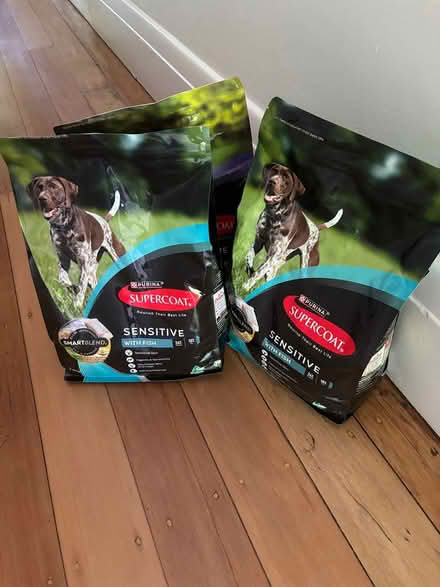 Photo of free Dog kennel, kibble and essentials (Leichhardt) #4