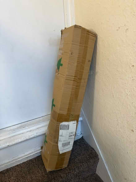 Photo of free Tree without decorations (Southsea PO5) #3