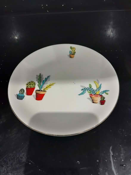 Photo of free Vintage Alfred Meakin China from the 1950s Plates & Bowls (Buxted TN22) #2