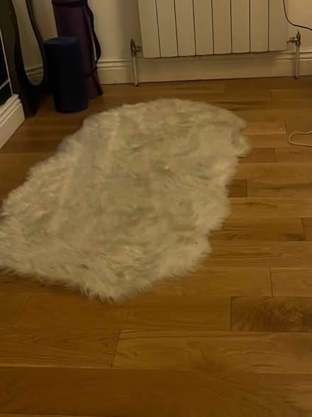 Photo of free Rugs (Dublin 4) #1