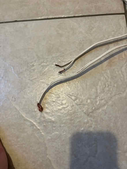 Photo of free Speaker cable (Horsham RH13) #2