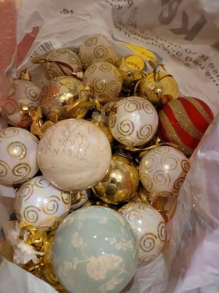 Photo of free Christmas decorations (Lloyd Park) #1