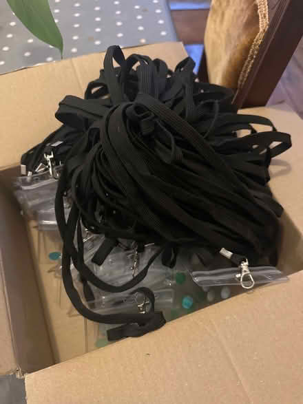 Photo of free Lanyards with name tag holders (Lydford EX20) #2