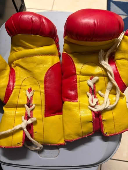 Photo of free Boxing gloves (Westbury Wilts BA13) #1
