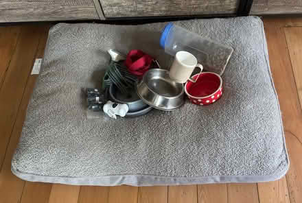 Photo of free Dog kennel, kibble and essentials (Leichhardt) #3
