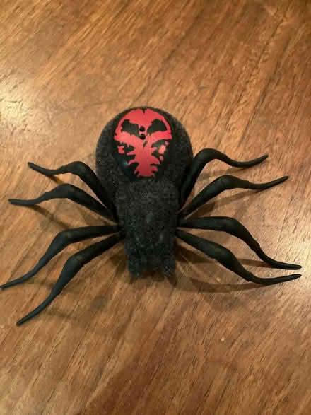 Photo of free Toy electronic spider (Greenwich/Blackheath SE10) #1