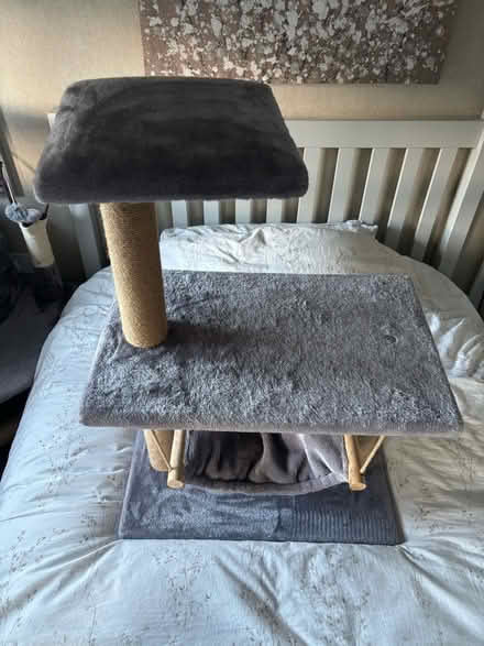 Photo of free Pets at Home Gizmo Hammock Cat Tower (Berwick Grange SY1) #1